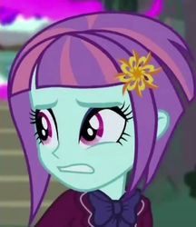 Size: 334x387 | Tagged: safe, sunny flare, equestria girls, g4, cropped