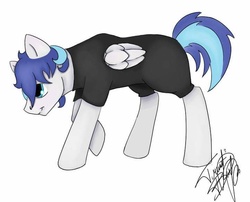 Size: 722x582 | Tagged: safe, artist:nightingale rosemary, oc, oc only, oc:dragonshy, pegasus, pony, bodysuit, solo