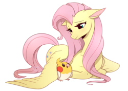 Size: 1300x919 | Tagged: safe, artist:renciel, fluttershy, bird, g4, cute, prone, shyabetes, signature, smiling, solo