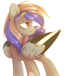 Size: 1024x1207 | Tagged: safe, artist:starlyfly, oc, oc only, oc:aqeen storm, pegasus, pony, solo
