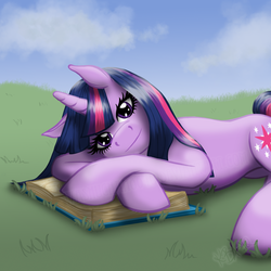 Size: 1024x1024 | Tagged: safe, artist:lilywinterharp, twilight sparkle, g4, book, female, solo