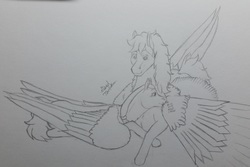 Size: 3753x2505 | Tagged: safe, artist:gabriel-titanfeather, oc, oc only, oc:gabriel titanfeather, oc:ki'ieran, pegasus, pony, adorable face, behaving like a bird, cuddling, cute, grayscale, high res, impossibly large wings, monochrome, onomatopoeia, pencil drawing, preening, smiling, snuggling, traditional art, wings