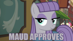 Size: 640x360 | Tagged: safe, artist:flawlessvictory20, maud pie, g4, approves, meme