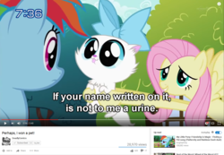 Size: 1274x880 | Tagged: safe, artist:deadlycomics, edit, edited screencap, screencap, fluttershy, rainbow dash, cat, g4, may the best pet win, caption, perhaps i won a pet!, youtube