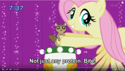 Size: 1271x720 | Tagged: safe, artist:deadlycomics, screencap, fluttershy, squirrel, g4, may the best pet win, caption, perhaps i won a pet!, youtube