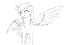 Size: 2048x1231 | Tagged: safe, artist:doktor-d, rainbow dash, pegasus, pony, g4, female, monochrome, solo