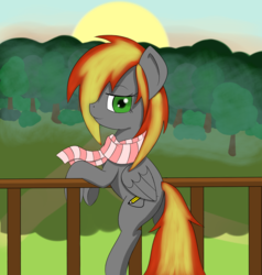 Size: 1000x1052 | Tagged: safe, artist:shade-mod, oc, oc only, balcony, clothes, scarf, solo, sunrise