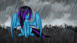 Size: 1024x576 | Tagged: safe, artist:despotshy, oc, oc only, oc:despy, pegasus, pony, rain, solo