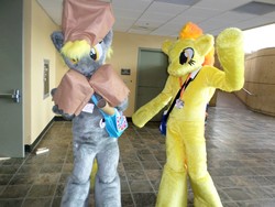 Size: 2429x1823 | Tagged: safe, derpy hooves, spitfire, bronycon, g4, clothes, cosplay, costume, fursuit, irl, photo