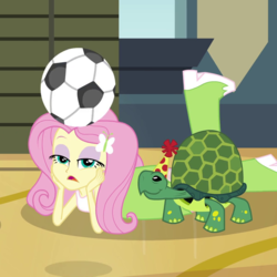 Size: 600x600 | Tagged: safe, screencap, fluttershy, turtle, equestria girls, g4, my little pony equestria girls: rainbow rocks, shake your tail, boots, cropped, female, football, hat, high heel boots, party hat