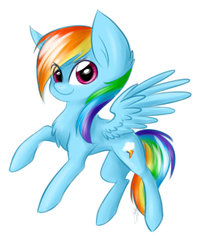 Size: 1024x1292 | Tagged: safe, artist:solweig, rainbow dash, pony, g4, chest fluff, female, solo