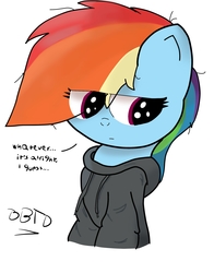 Size: 1921x2447 | Tagged: safe, artist:bronybehindthedoor, rainbow dash, g4, clothes, dialogue, digital art, female, hoodie, signature, solo