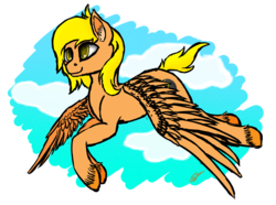 Size: 2768x2056 | Tagged: safe, artist:speed-chaser, oc, oc only, oc:lost thunder, pegasus, pony, birthday, flying, gift art, high res, simple background, sketch, solo, transparent background, unshorn fetlocks