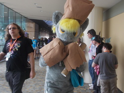 Size: 4608x3456 | Tagged: safe, derpy hooves, human, bronycon, bronycon 2016, g4, bags, clothes, cosplay, costume, cute, fursuit, irl, irl human, paper bag wizard, paper bags, photo, solo