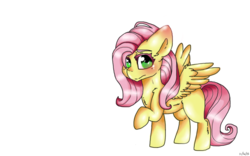 Size: 1600x997 | Tagged: safe, artist:drducksauce, fluttershy, g4, female, raised hoof, simple background, solo, spread wings