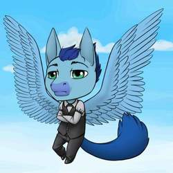 Size: 800x800 | Tagged: safe, artist:lyraalluse, soarin', g4, chibi, clothes, flying, male, solo