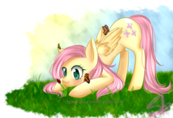 Size: 1024x702 | Tagged: safe, artist:seaslain, fluttershy, butterfly, ladybug, pegasus, pony, g4, blushing, female, folded wings, grass, looking at something, looking down, mare, outdoors, solo, wings