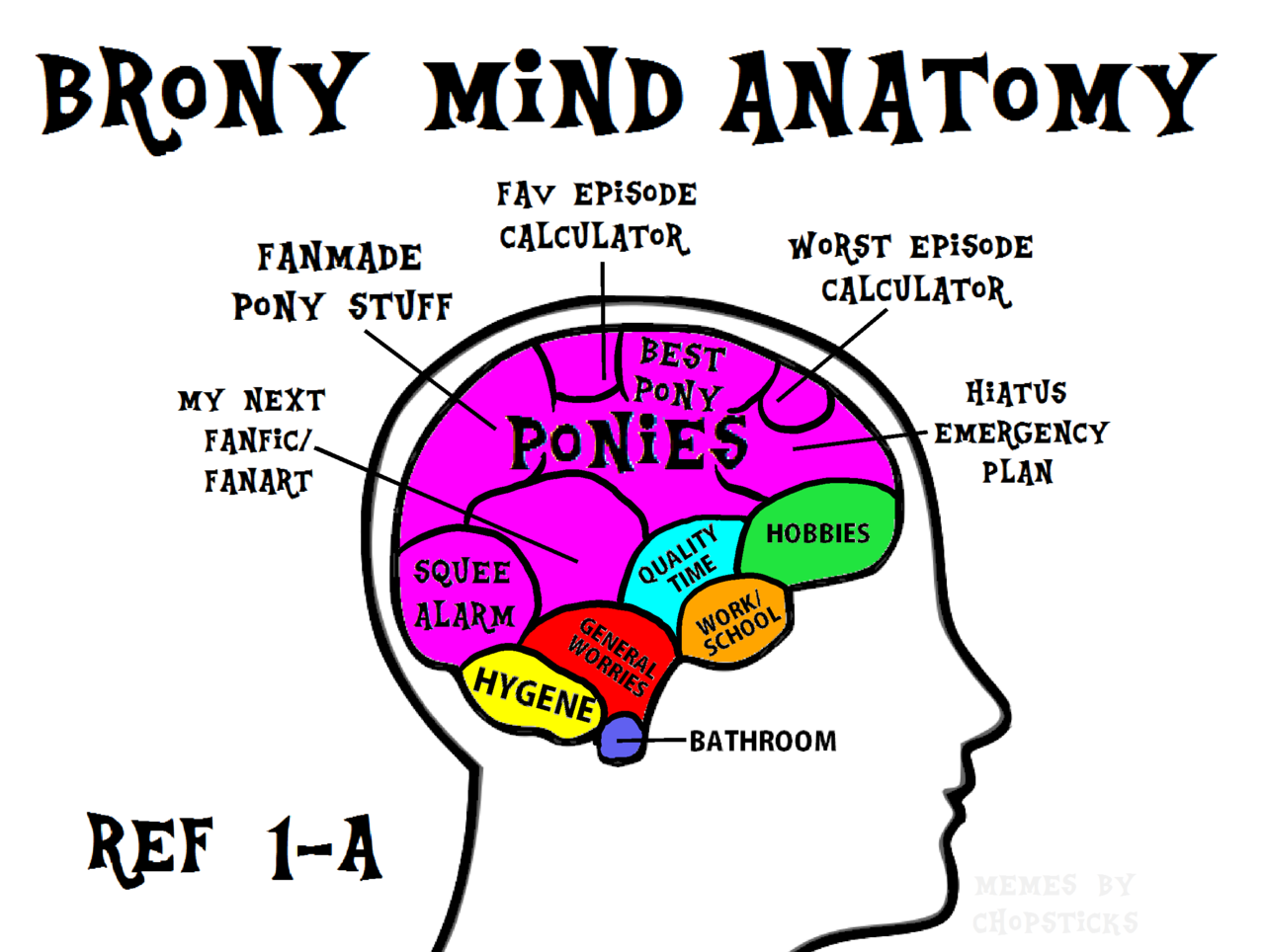 1199432 Anatomy Brain Brony Fandom Fandom Overload Funny