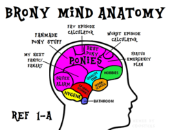 Size: 2492x1876 | Tagged: safe, anatomy, anatomy chart, brain, brony, chart, diagram, fandom, fandom overload, funny, meme, meta, misspelling, no pony, text