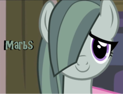 Size: 998x768 | Tagged: safe, edit, edited screencap, screencap, marble pie, earth pony, pony, g4, adorable face, cute, female, image macro, marblebetes, mare, meme, smiling, solo