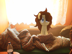 Size: 2592x1944 | Tagged: safe, artist:suzano, oc, oc only, oc:heartbreak, earth pony, pony, bed, blanket, blue eyes, bottle, confused, curtains, cute, female, human to pony, irl, male to female, mare, messy mane, my little heartbreak, pepsi, photo, pillow, ponies in real life, rule 63, soda, solo, sunlight, window, wires