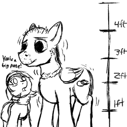 Size: 600x600 | Tagged: safe, artist:thebathwaterhero, oc, oc only, oc:sunny days, pegasus, pony, series:entrapment, adult, bloodshot eyes, chart, cutie mark, female, filly, height, height difference, male, monochrome, rash, scale, size chart, size comparison, size difference, skin, stallion, text, tunic