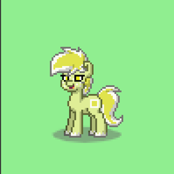 Size: 1196x1196 | Tagged: safe, artist:lyraalluse, oc, oc only, oc:sunny side, pony, pony town, egg pony, original character do not steal