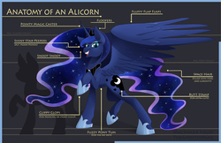 Size: 5100x3300 | Tagged: safe, artist:ghostlymuse, princess luna, alicorn, pony, g4, absurd resolution, anatomy, anatomy guide, chart, ethereal mane, female, mare, raised hoof, snoot, solo, spread wings, starry mane