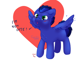 Size: 2911x2281 | Tagged: safe, artist:squishycuddle, oc, oc only, oc:blue romance, pegasus, pony, cute, heart, high res, male, solo, stallion