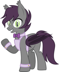 Size: 2447x2974 | Tagged: safe, artist:duskthebatpack, oc, oc only, oc:boysenberry pancake, bat pony, pony, apron, bowtie, clothes, high res, looking at you, male, simple background, solo, stallion, transparent background, vector