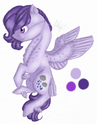 Size: 1280x1636 | Tagged: safe, artist:sweetheart-arts, oc, oc only, oc:cumulus, reference sheet, solo
