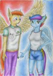 Size: 1973x2799 | Tagged: safe, artist:sinaherib, oc, oc only, oc:rainfall, oc:summer wind, anthro, armpits, blushing, breasts, clothes, offspring, parent:big macintosh, parent:fluttershy, parent:rainbow dash, parent:soarin', parents:fluttermac, parents:soarindash, puberty, puberty hits hard, shorts, spread wings, traditional art, wingboner, wings