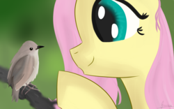 Size: 1024x640 | Tagged: safe, artist:andelai, fluttershy, bird, g4, simple background