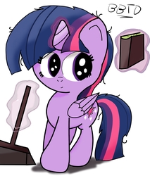 Size: 2120x2493 | Tagged: safe, artist:bronybehindthedoor, twilight sparkle, alicorn, pony, g4, book, broom, digital art, female, high res, magic, signature, solo, sweeping, sweepsweepsweep, twilight sparkle (alicorn)