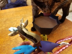 Size: 1600x1200 | Tagged: safe, discord, cat, g4, chocolate, chocolate milk, fan series, guardians of harmony, irl, irl cat, milk, misadventures of the guardians, photo, toy