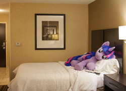 Size: 2695x1943 | Tagged: safe, artist:qtpony, twilight sparkle, g4, bed, book, hotel room, irl, life size, photo, plushie, solo