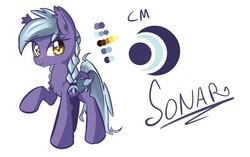 Size: 1280x804 | Tagged: safe, artist:kawaiipony2, oc, oc only, oc:sonar, bat pony, pony, braid, chest fluff, solo