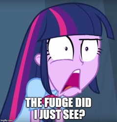 Size: 500x524 | Tagged: safe, edit, edited edit, edited screencap, screencap, twilight sparkle, equestria girls, g4, female, image macro, meme, reaction image, shocked, solo