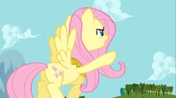 Size: 1100x618 | Tagged: safe, screencap, fluttershy, pony, g4, keep calm and flutter on, butt, female, mare, plot