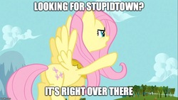 Size: 889x500 | Tagged: safe, edit, edited screencap, screencap, fluttershy, g4, keep calm and flutter on, element of kindness, female, image macro, jewelry, meme, pointing, regalia, solo