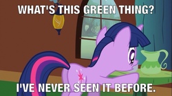 Size: 800x449 | Tagged: safe, edit, edited screencap, screencap, twilight sparkle, g4, image macro, meme, teapot, text