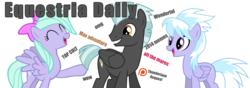 Size: 1000x350 | Tagged: safe, cloudchaser, flitter, thunderlane, pegasus, pony, equestria daily, g4, banner, commission, female, male, mare, patreon, patreon logo, simple background, stallion, transparent background