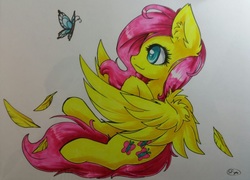 Size: 927x669 | Tagged: safe, artist:sapphfyr, fluttershy, butterfly, g4, female, solo, traditional art