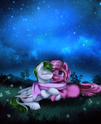 Size: 2790x3401 | Tagged: safe, artist:pridark, oc, oc only, clothes, commission, cute, eyes closed, female, flower, high res, imminent kissing, male, meadow, night sky, scarf, shared clothing, shared scarf, shipping, stars, straight