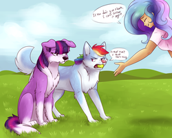 Size: 1280x1024 | Tagged: safe, artist:fizzy-dog, princess celestia, rainbow dash, twilight sparkle, dog, human, husky, g4, :<, border collie, cute, dialogue, dogified, doubt, eyes closed, fetch, floppy ears, fluffy, frown, glare, grass field, grin, humanized, rainbow dog, raised eyebrow, scenery, sitting, smiling, species swap, tennis ball, twilight barkle, twilight sparkle is not amused, unamused