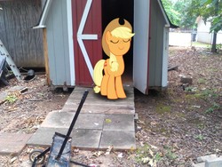 Size: 2048x1536 | Tagged: safe, artist:tokkazutara1164, applejack, g4, barn, eyes closed, irl, photo, ponies in real life, solo, vector