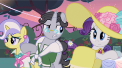 Size: 640x360 | Tagged: safe, screencap, jet set, rarity, upper crust, pony, unicorn, g4, sweet and elite, clothes, dress, female, male, mare, skunk stripe, stallion, trio