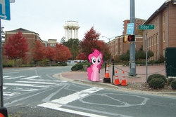 Size: 2032x1354 | Tagged: safe, artist:pizzalover53, pinkie pie, earth pony, pony, g4, irl, photo, ponies in real life, street, vector