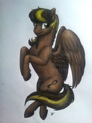 Size: 1224x1632 | Tagged: safe, artist:lupiarts, oc, oc only, oc:meze diapason, pegasus, pony, commission, flying, traditional art