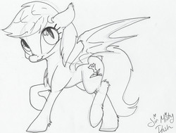 Size: 5728x4320 | Tagged: safe, artist:mistydash, oc, oc only, oc:daturea eventide, bat pony, pony, absurd resolution, grayscale, monochrome, sketch, solo